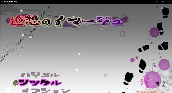 追忆的意象1.0 XY版（日系RPG/AIGPT汉化）[2.12G]