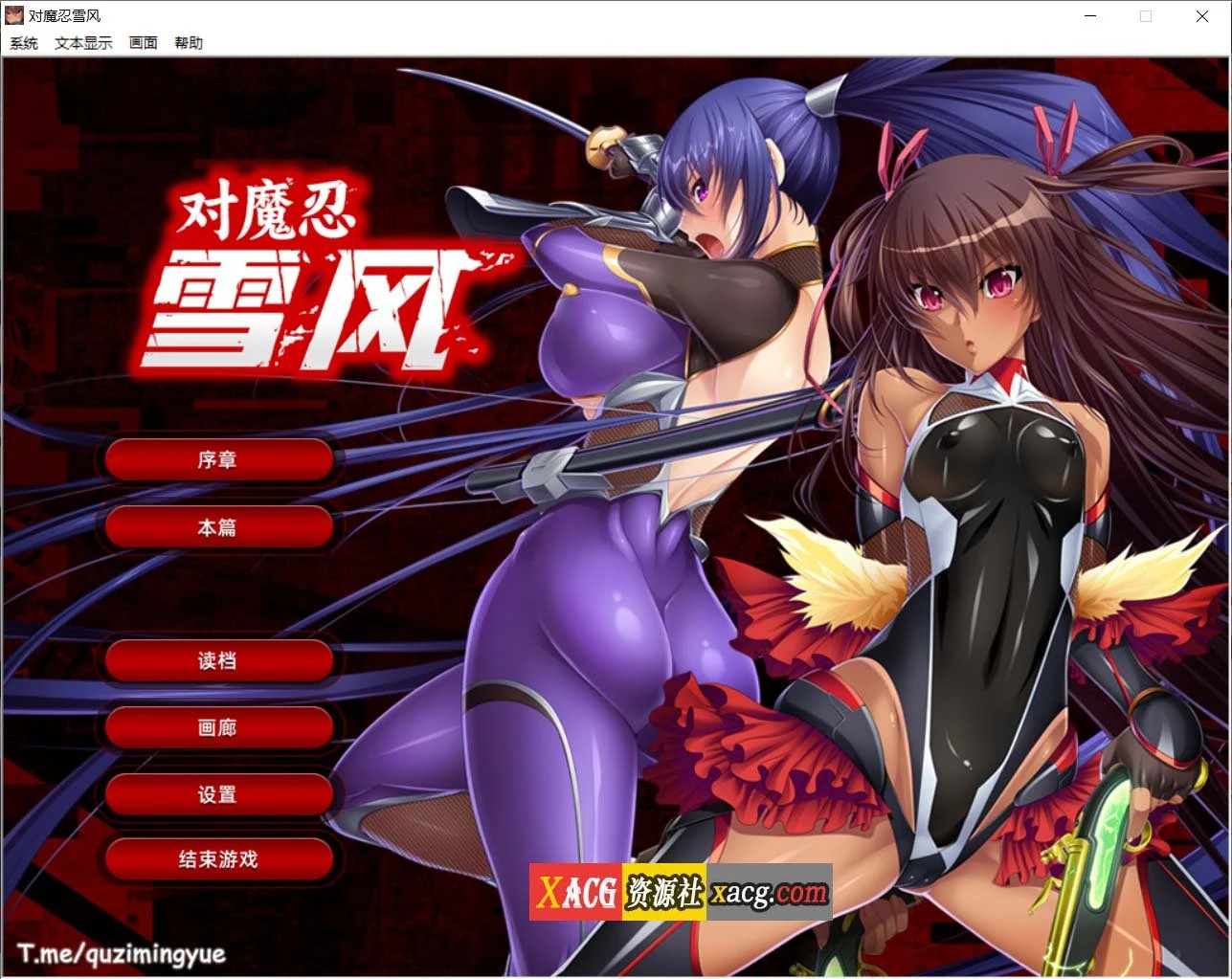 对魔忍雪风 官中全动态ADV大作 [Steam官方中文版+2G] /佳作