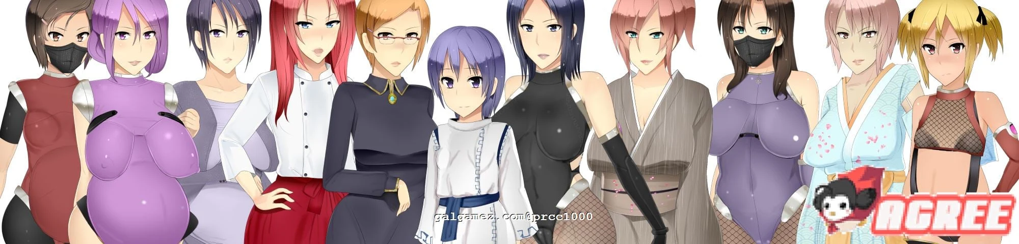 甲贺阴阳忍法帖：我的母亲是忍者杀手！汉化版[重抠RPG/神级开大车/800M]