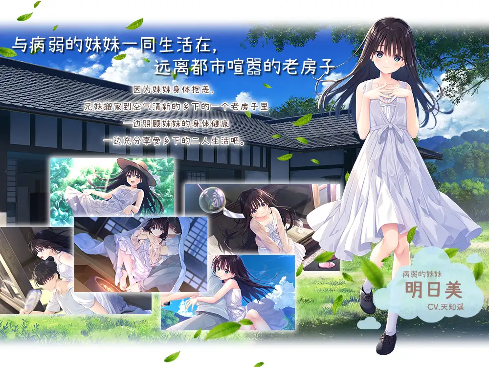深情哥哥与虚弱妹妹的乡间生活 [PC-RPG游戏] Steam官方中文步兵版 /3G/ {RPG/官中/动态无码}