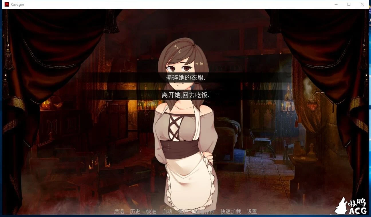 【欧美SLG/汉化/动态】劫掠者 v2.5.2 精翻汉化版+全CG【PC+安卓/更新/1.2G】 畅玩游戏 预览第3张