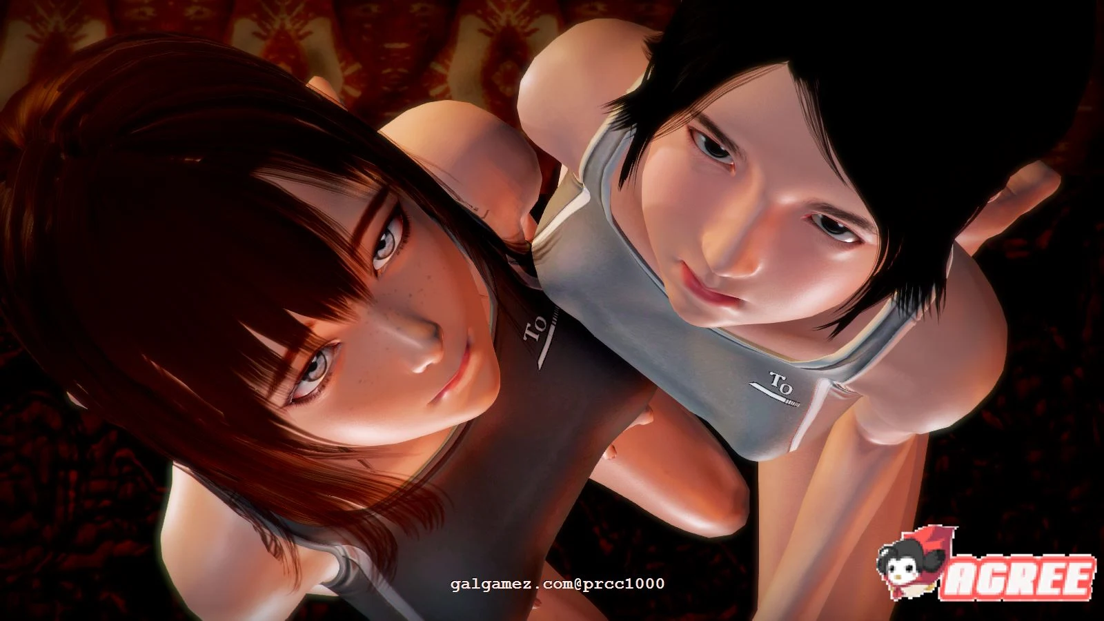 昏暗之声 Noise V0.37 官方中文完整版 [国产超高自由度RPG/步兵] {4.2G/全CV}