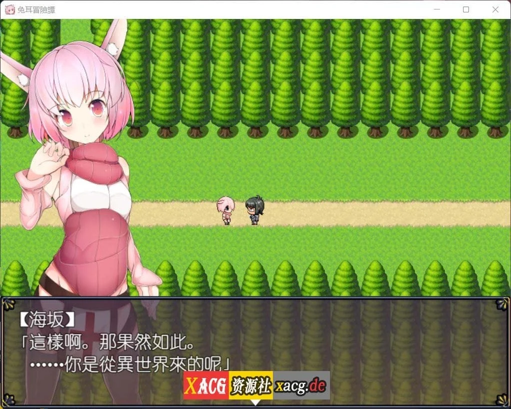 【神奇RPG/官中】兔耳冒险谭：打情骂俏的同时猜谜拯救世界 官方中文版【安卓+PC/2G】 畅玩游戏 预览第4张