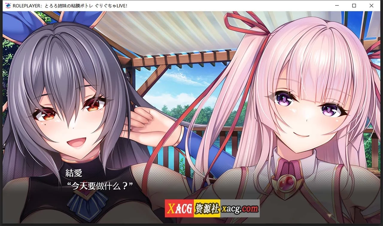 ROLEPLAYER 山药姐妹的互动游戏 [神级SLG] 全CG存档 精翻汉化版 4.4G /新汉化/动态