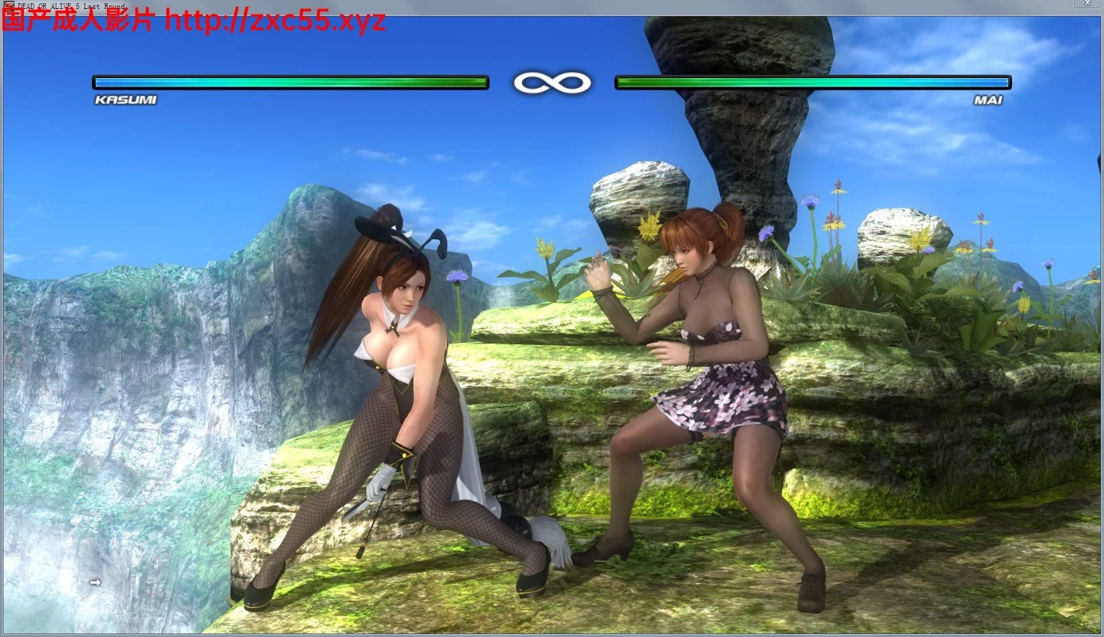 3D FTG [死或生5:最后一战] 完全皇帝版+DLC+特别魔改服装CG动画+原版终极整合 13G