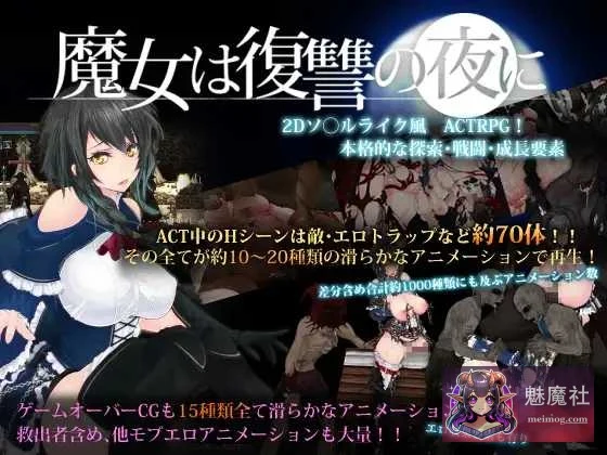 魔女复仇之夜 [魔女は復讐の夜に] （V1.07汉化步兵作弊版+魔改mod）〔2.4G〕微云网盘直链