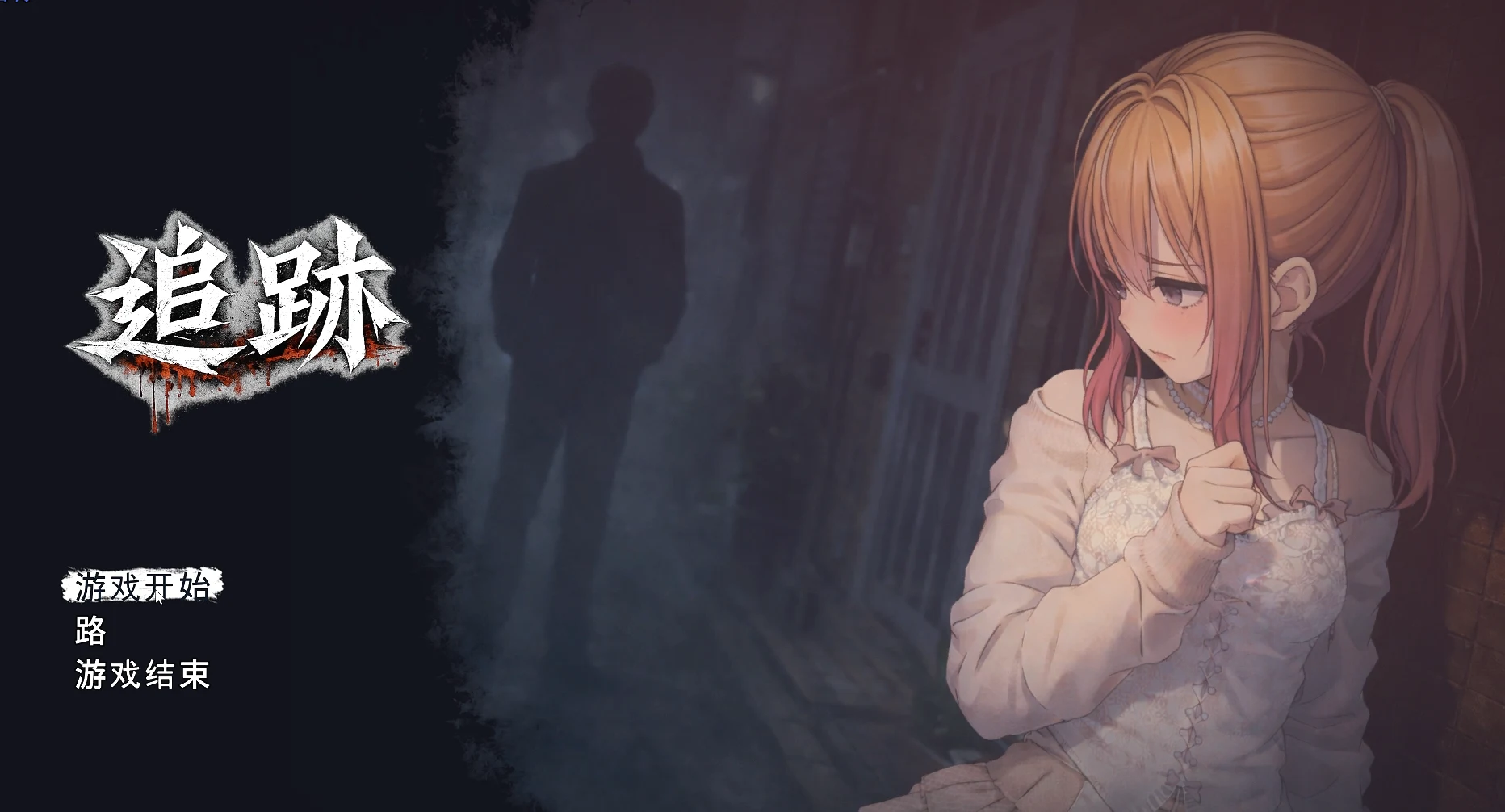 尾随追踪 【个人汉化】【7G】【3D悬疑复仇触摸】【SLG】【新作】【FM/百度】