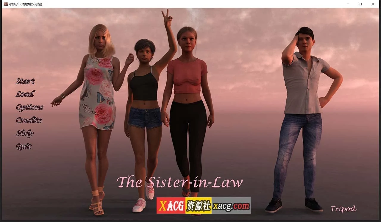 欧美SLG动态汉化 小姨子V0.04.03C精翻版 [PC+安卓/2.2G]