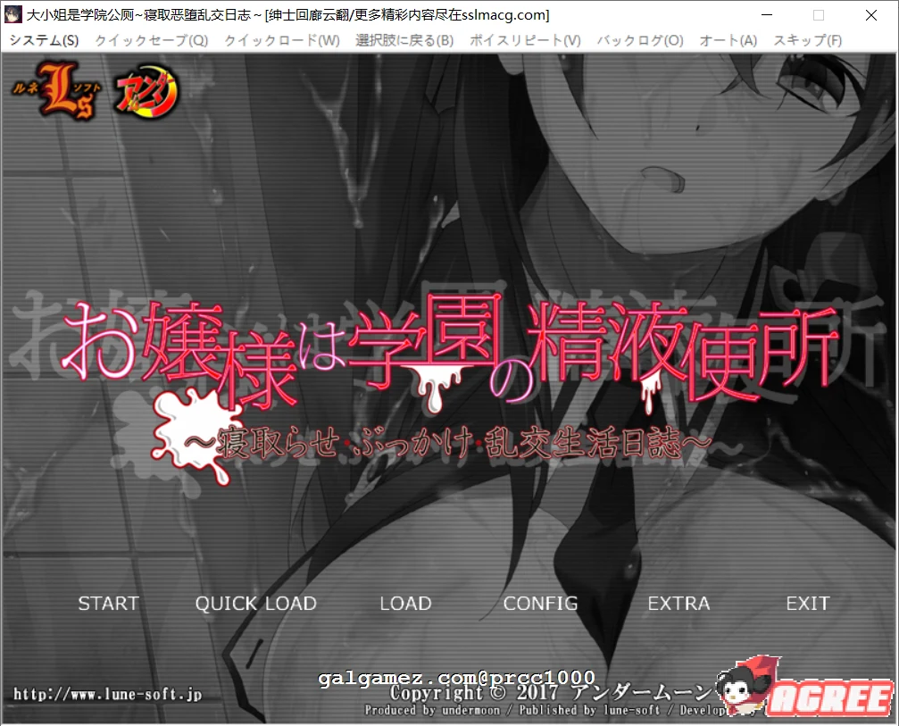 大小姐学院场所情感观察日记 云翻汉化版 [ADV游戏/1G]